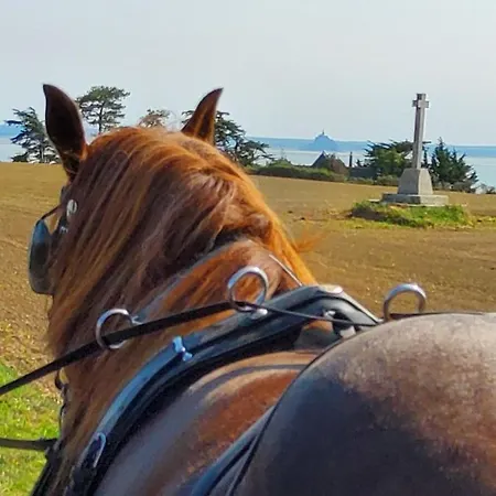 Chez Jollyjune, A Moins D'une Heure Du Mont Saint Michel