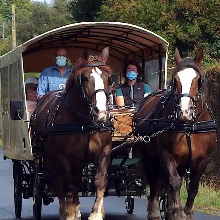 Frühstückspension Chez Jollyjune, A Moins D'une Heure Du Mont Saint Michel *