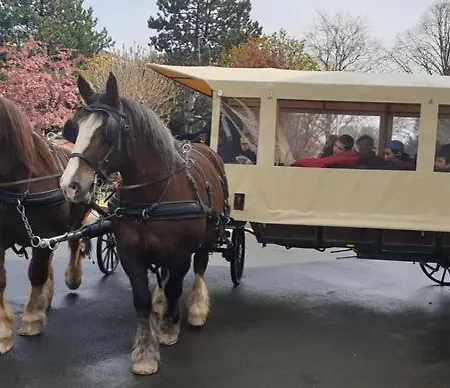 Chez Jollyjune, A Moins D'une Heure Du Mont Saint Michel *