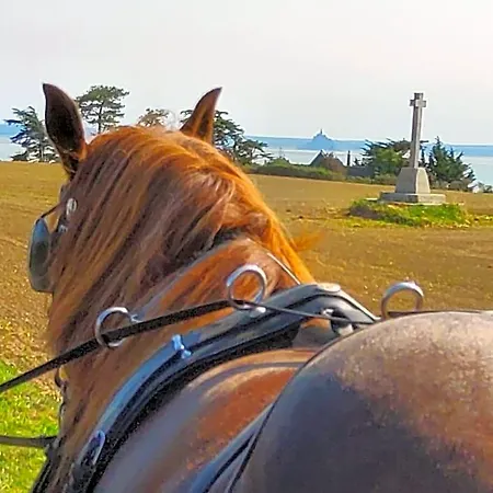 Chez Jollyjune, A Moins D'une Heure Du Mont Saint Michel Champeaux