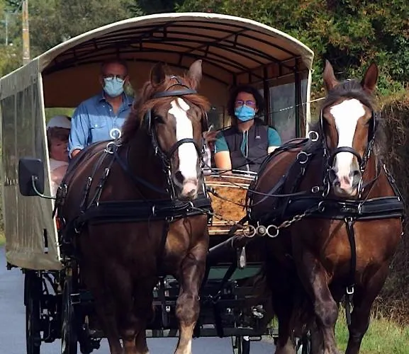 Bed & Breakfast Chez Jollyjune, A Moins D'une Heure Du Mont Saint Michel *