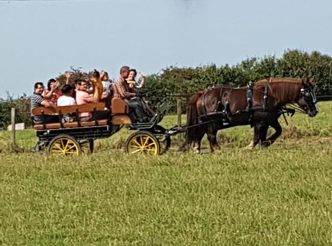 Chez Jollyjune, A Moins D'une Heure Du Mont Saint Michel Champeaux